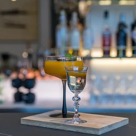 酒店 霸克索尼酒店